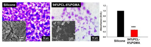 94%PCL-6%PGMA와 silicone의 biofilm형성 테스트