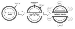 Hydration reaction of non-hydration cement