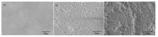 금속코발트 SEM 이미지 (a) 반응 전 (b) -300 V DC 바이어스 미적용 (c) -300 V DC 바이어스 적용