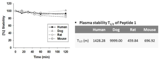 펩타이드 #1의 다양한 종의 혈청 내 안정성(plasma stability) 평가
