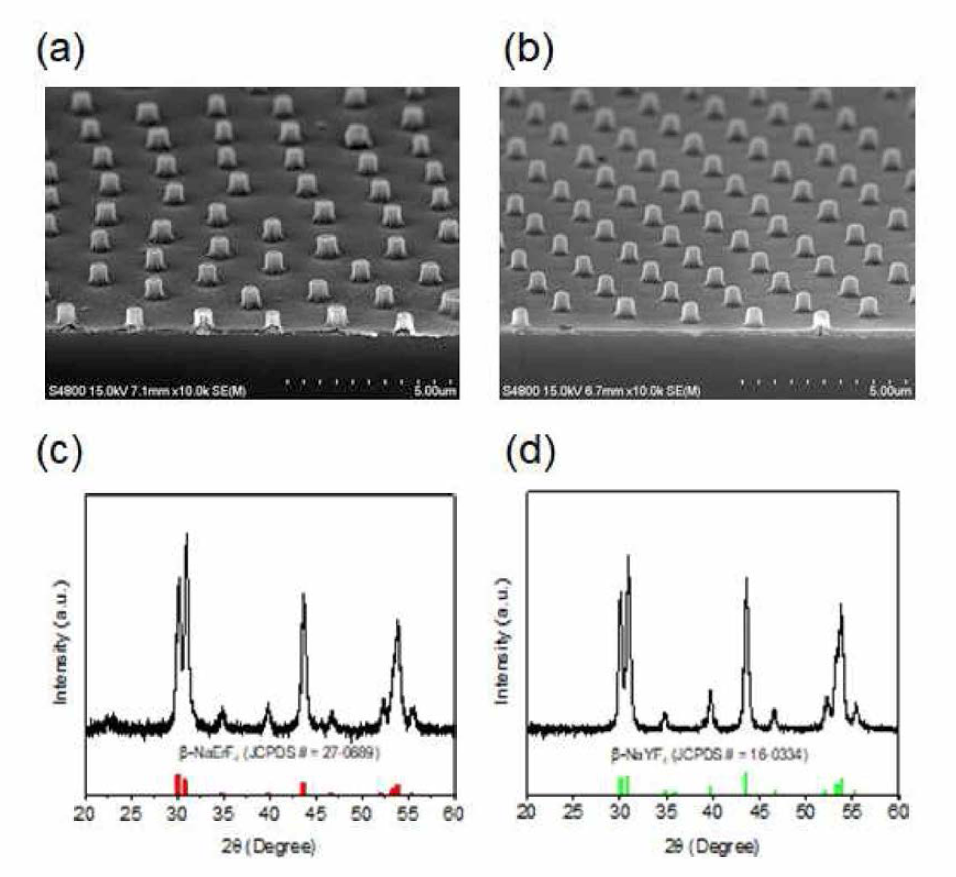 a) NaErF4:Mn2+와 b) NaYF4:Yb3+,Er3+ 나노패턴의 tilt-view SEM 이미지. c) NaErF4:Mn2+와 d) NaYF4：Yb3+,Er3+ 나노패턴의 XRD 패턴