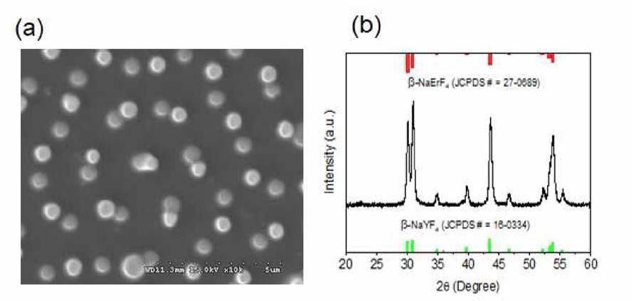 NaYF4:Yb3+，Er3+와 NaErF4：Mn2+ 더블프린트 나노패턴의 a) SEM 이미지와 b) XRD 패턴