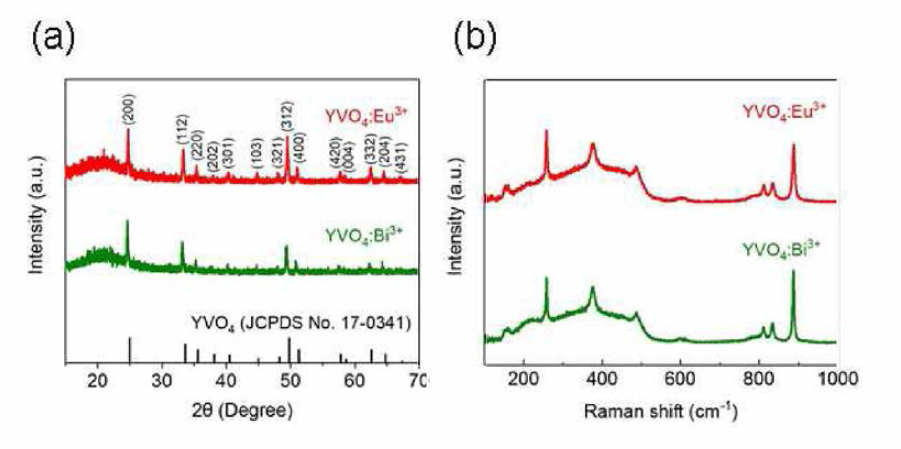 YV04:Eu3+, YV04：Bi3+ 박막의 (a) XRD, (b) raman 스펙트럼