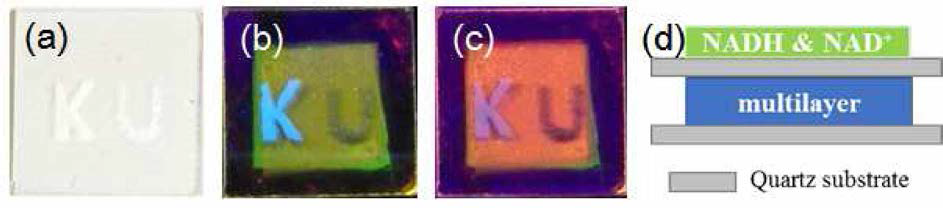 적층박막 위에 NADH-methmol 용액으로 spray 한 ‘K’ 문자, NAD+ 수용액으로 spray 한 ‘U’ 문자의 a) room light, b) 312 nm 자외선 램프, c) 254 nm 자외선 램프 조사 시의 사진. d) 해당샘플의 모식도