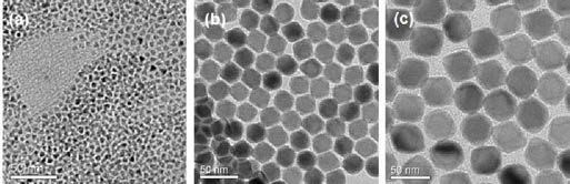 (a) 적색, (b) 녹색, (c) 청색 up-conversion 나노형광체의 TEM 사진