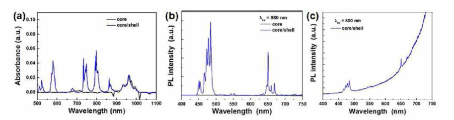 Yb과 Tm이 도핑된 코어 및 Nd 도핑된 쉘이 형성된 코어/쉘 나노형광체의 (a) 흡수 스펙트럼과 (b) 980 nm 및 (c) 800 nm 여기 하에서의 발광 스펙트럼