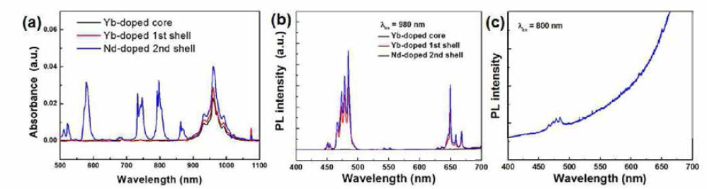 코어, 코어/쉘, 코어/쉘/쉘 up-conversion나노형광체의 (a) 흡수 스펙트럼과 (b) 980 nm 여기 하에서의 발광 스펙트럼 및 (c) 800 nm 여기 하에서의 발광 스펙트럼