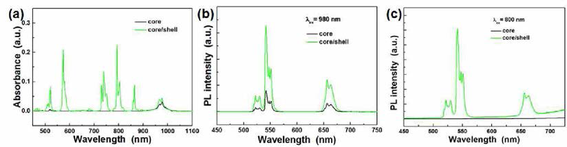 녹색 발광 육방정계 NaYF4 코어 및 코어/쉘 up-conversion 나노형광체의 (a) 흡수 스펙트럼과 (b) 980 nm 및 (c) 800 nm 여기 하에서의 발광 스펙트럼