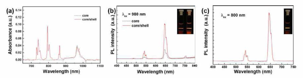 적색 발광 코어 및 코어/쉘 up-conversion 나노입자의 (a) 흡수 스펙트럼 및 (b) 발광 스펙트럼과 발광 사진, (c) 코어/쉘 up-conversion나노입자의 발광 스펙트럼 및 발광 사진