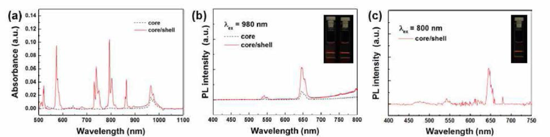 30% Ce 도핑된 NaYF4계 적색 발광 코어 및 코어/쉘 나노입자의 (a) 흡수 및 (b) 발광 스펙트럼 (b: 980 nm 근적외선 여기, c: 800 nm 근적외선 여기)