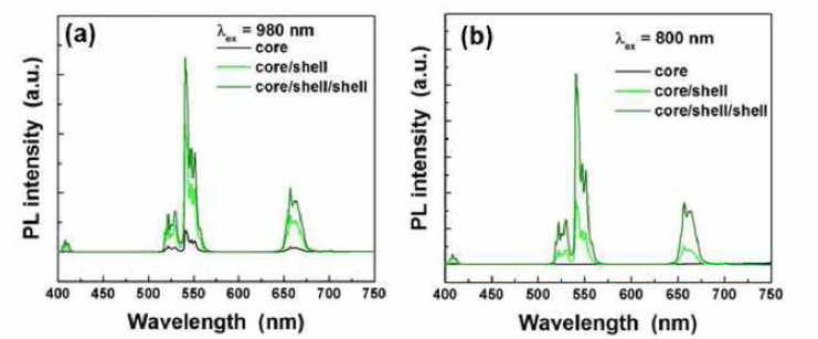 (a) 980 nm 및 (b)800 nm 근적외선 여기하에서의 NaGdF4:Yb, Er계 코어, 코어/쉘, 코어/쉘/쉘 up-conversion 나노입자의 발광 스펙트럼