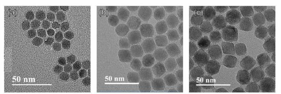 정방정계 청색 발광 up-conversion (a) 코어, (b) 코어/쉘 및 (c) 코어/쉘/쉘 나노입자의 TEM 사진