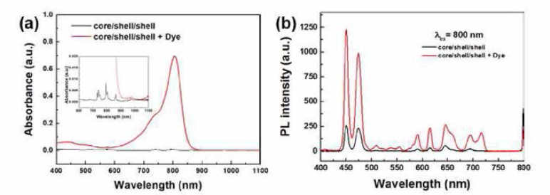 Dye-conjugated 코어/쉘/쉘 구조의 up-conversion나노입자의 (a) 흡수 스펙트럼 및 (b) 발광 스펙트럼