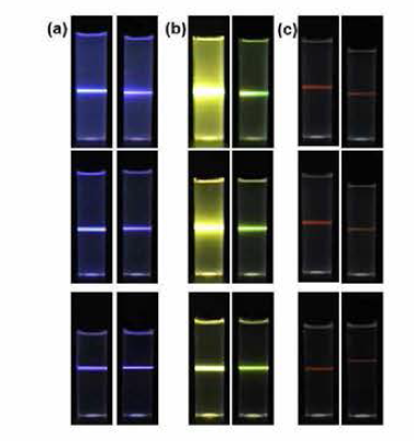 (a) 청색, (b) 녹색, (c) 적색 발광 코어/쉘 up-conversion 나노형광체를 이용하여 제조된 PDMS 고분자 복합체 막대의 (좌) 980 nm 적외선 및 (우) 800 nm 적외선 여기 조건하에서의 발광 사진 [(상: 고농도, 중: 중농도, 하: 저농도)]