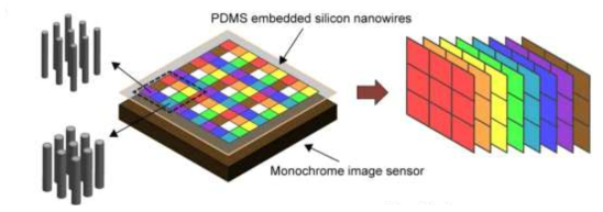 Multispectral filter based on vertical Si nanowires