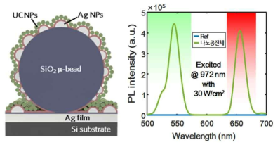 (좌) 플라즈모닉 마이크로 비드 구조 (우) 상향변환 발광세기 측정 결과