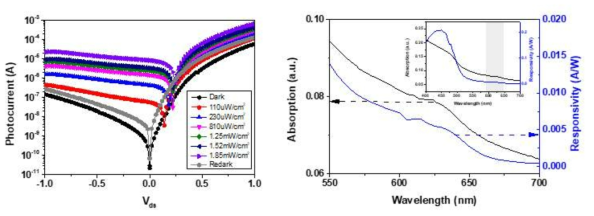 입사광세기에 따른 광센서의 전류세기의 변화 및 양자점 흡수영역과 광다이오드의 responsivity 비교