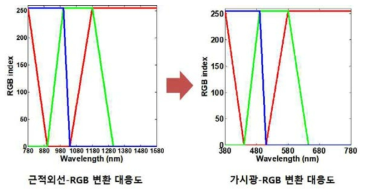 근적외선-RGB 변환 대응도