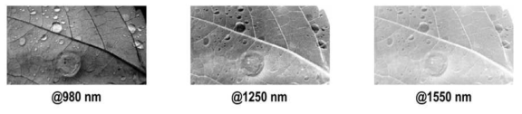 시뮬레이션에 활용된 세 가지 NIR 파장대역에서 얻은 gray scale images