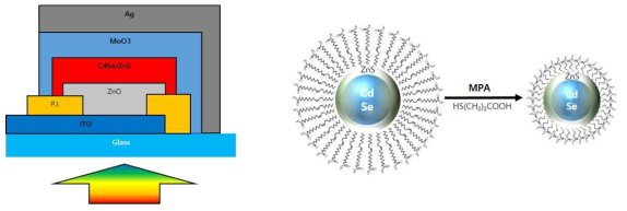 (좌) 수직형 양자점 photodidoe 모식도 (우) 양자점 리간드 치환 과정 모식도