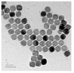 scheelite계 녹색 발광 Ce and Tb-doped LiYF4 나노형광체의 투과 전자현미경 사진