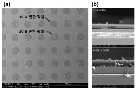 UV-A, B 변환 마이크로패턴 픽셀의 SEM 사진 (a) top-view 그리고 (b)cross-sectional view