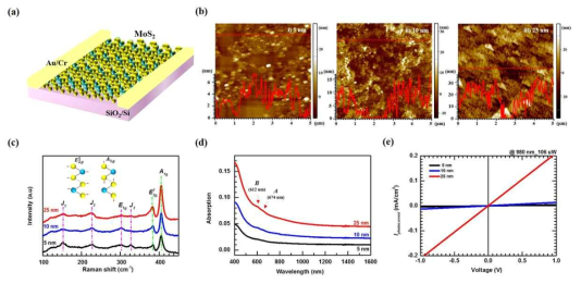 (a) 다층 두께의 MoS2 기반 적외선 광검출기 개념도. (b) 5 nm, 10 nm, 25 nm 두께 MoS2 film을 측정한 AFM 이미지. (c) 5 nm, 10 nm, 25 nm-MoS2 film들의 라만스펙트럼. (d) 5 nm, 10 nm, 25 nm-MoS2 film들의 흡수 스펙트럼 (d) 980 nm 적외선 조사하였을 때의 다양한 두께의 MoS2 기반 광검출기의 광전류-전압 특성