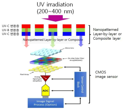 UV 변환 기술 적용 이미지 센서 시스템