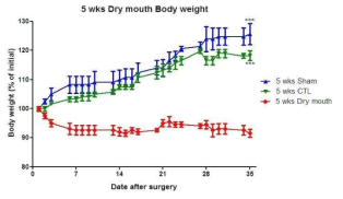 구강 건조증 모델에서의 체중 변화 결과