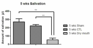 구강 건조증 모델에서 타액량 변화 결과