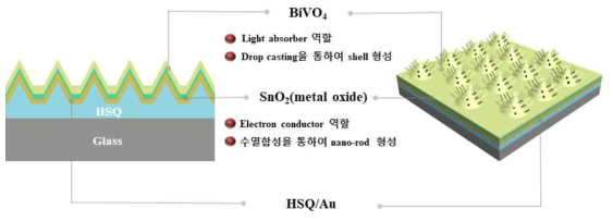 설계한 BiVO4/SnO2/Au의 Micro-nano 복합메타구조 광전극