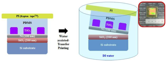 Water assisted Transfer Printing(WTP) 공정을 이용한 stretchable color filter 제작 공정 모식도와 이를 이용해 제작한 color filter