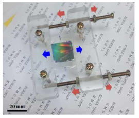 strain kit for stretchable sensor