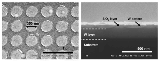 SiO2와 W을 이용한 하부층 제작 샘플의 SEM 사진