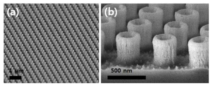 레이저 간섭 리소그래피와 반응성 이온 식각공정을 통해 제작한 실리콘 나노튜브 스탬프의 SEM사진: (a) 저배율, (b) 고배율