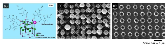 (a) chemical capping 물질인 sodium citrate 이온이 화학적으로 ZnO top facet에 정전기적 코팅되는 과정의 모식도, 선택적 에칭 이후에 capping 물질의 (b) 무(無), (c) 유(有)에 따른 TiO2 쉘의 주사전자현미경(SEM) 사진