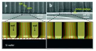 AAO membrane SEM 이미지