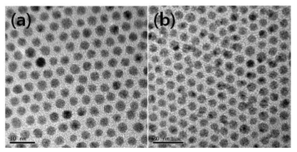 (a) 금나노입자, (b) 은나노입자의 주사전자현미경 사진