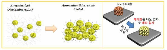 Ligand 치환공정을 통해 형성된 금속나노입자의 모형