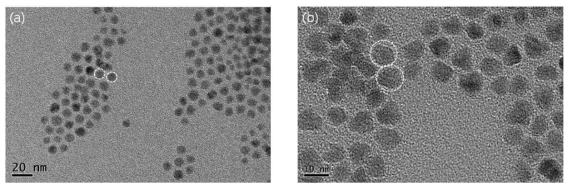 (a) 리간드 치환공정 진행 전 CdSe나노입자의 TEM 이미지와 (b) 리간드 치환공정 진행 후 커플된 CdSe나노입자의 TEM 이미지