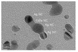 제작된 Ag-CdSe 나노결정-리간드 기반 메타아톰의 TEM 이미지