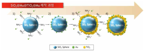 SiO2@Au@TiO2@Au 나노 구조체 제작 공정