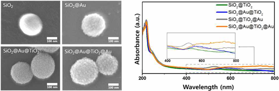 SiO2@Au@TiO2@Au 표면분석 SEM 및 구조체 흡광도 분석