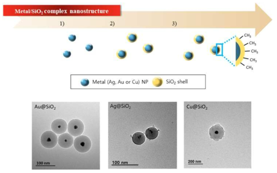 Metal/SiO2 복합 구조를 갖는 나노 구조체 합성모식도 및 TEM을 통한 구조 분석