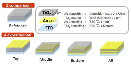 금 나노섬 구조체가 삽입된 TiO2 광전극 모식도 (광전극의 Top, Middle, Bottom, All 부분)