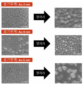 초기 Au 박막 두께에 따른 열처리 전후 SEM 관찰