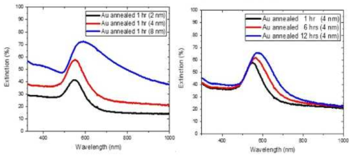 초기 Au 박막 두께에 따른 extinction(2, 4, 8 nm) (좌), 열처리 시간에 따른 extinction (1, 6, 12 hours) (우)
