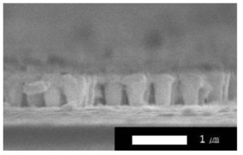 제작된 Nanodisk decorated ZnO NRs growth의 SEM 사진