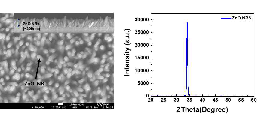 ZnO NRs SEM image 및 XRD data