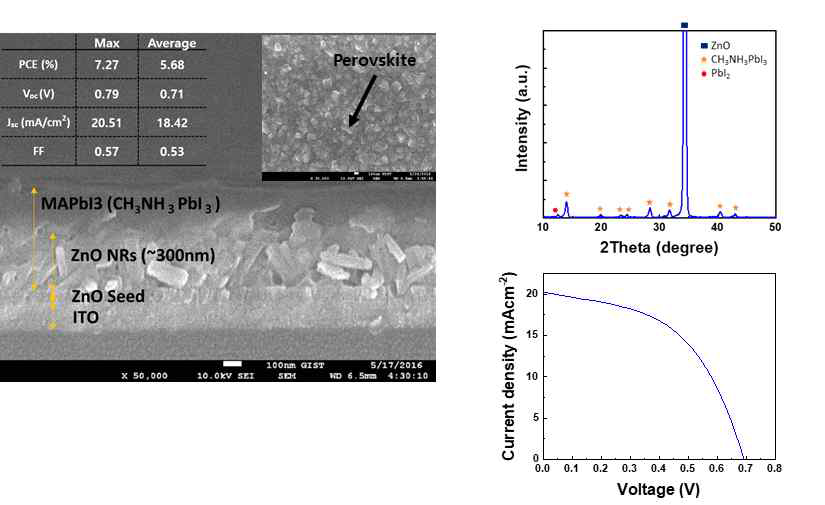 페로브스카이트 태양전지의 기판 SEM 및 XRD, J-V curve